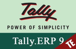 Tally Erp 9.0